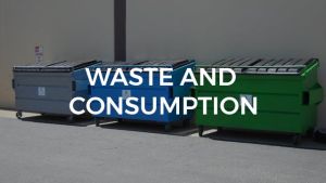 WASTE AND CONSUMPTION