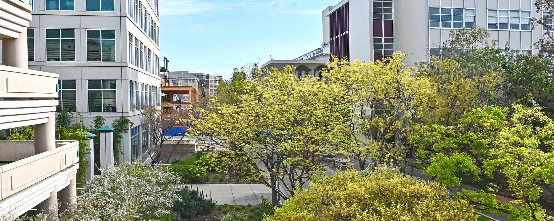 San Mateo County government center buildings and courtyard